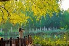 91av视频麻豆-众里寻她千百度的网络新视界——91av视频麻豆现象的文化反思