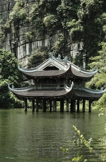 不登录不收费大象传媒-不登录不收费原则下的大象传媒，网络内容消费的理性选择