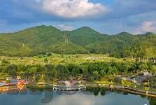 成人包皮手术视频-成人包皮手术，从误解到理解的旅程