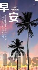 大象传媒dx永久菠萝-探索大象传媒DX与永久菠萝的奇妙融合，创意与生活的甜蜜碰撞