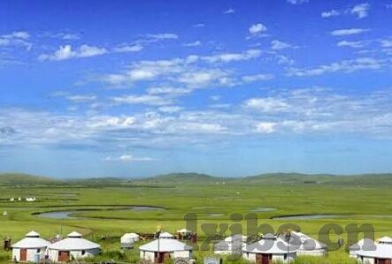 大象传媒社区-探索大象传媒社区，连接与交流的数字乐园