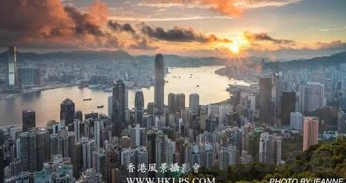 黄色成人视频网站-黄色成人视频网站，网络文化的灰色地带与影响