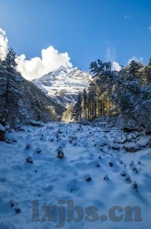 日韩av一区二区免费-日韩AV一区二区，成人娱乐的多元化探索