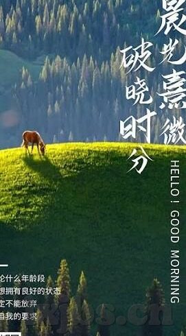 糖心视频vlog免费版-探索数字时代的生活日记——免费版糖心视频Vlog的魅力之旅